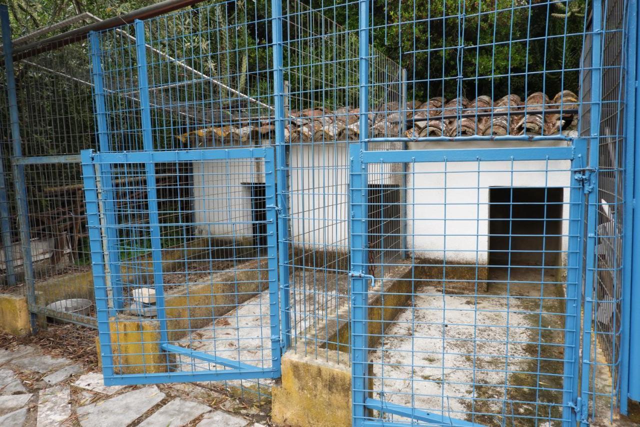 הוילה אלבאס Horta De Pepinais מראה חיצוני תמונה
